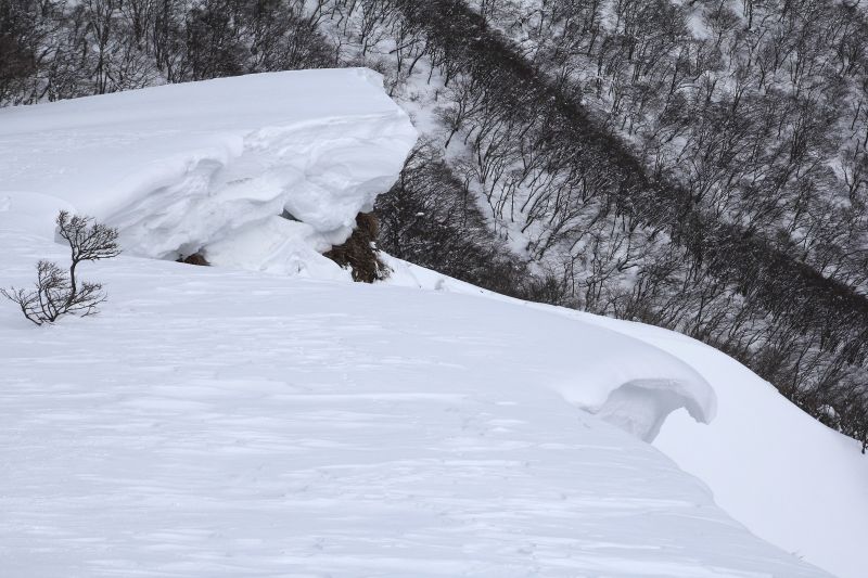 蓬莱山_003.jpg