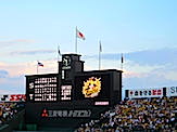 IMG_4306.JPG