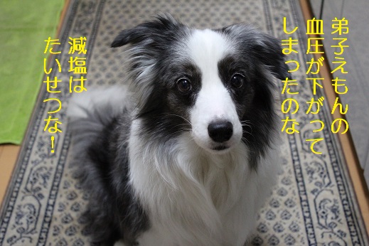 血圧