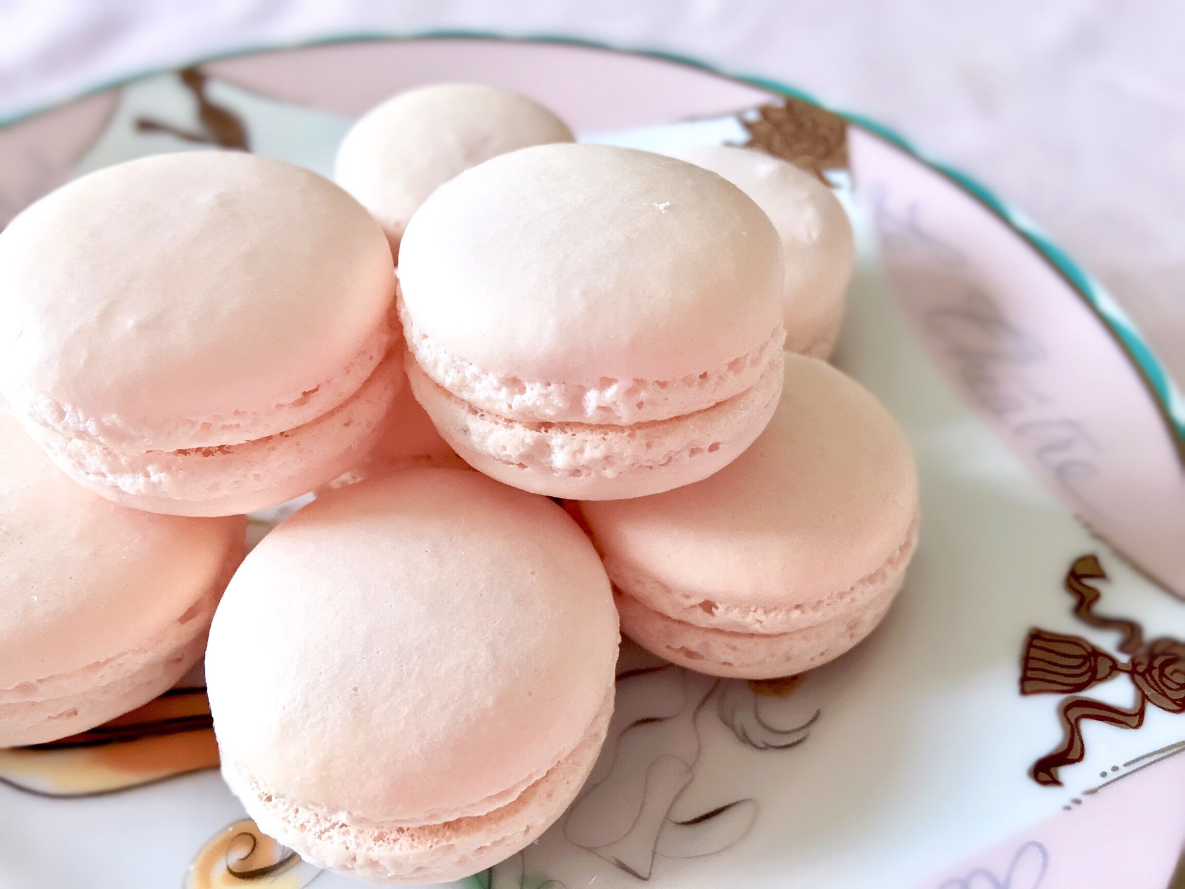 遂に判明 パステルマカロンのためのオーブン温度設定 Macaron Diary 楽天ブログ