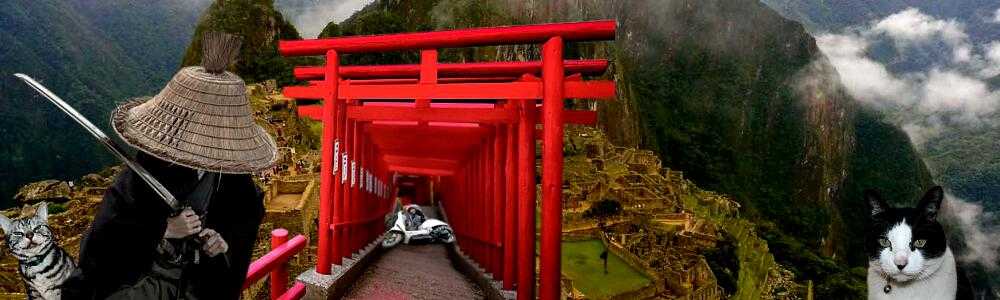 耳（ミミ）とチャッピの布団