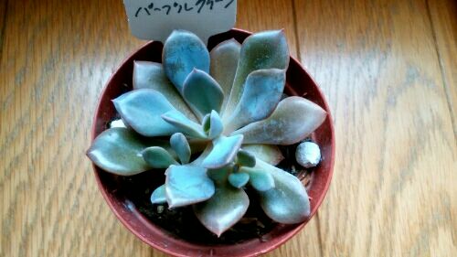 rblog-20160726183333-00.jpg