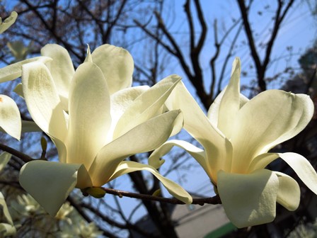 DSCN9585a.jpg