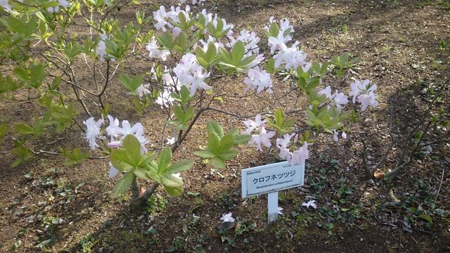 2015-04-18 15.46.18.jpg