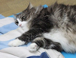 E7D_6293-15.jpg