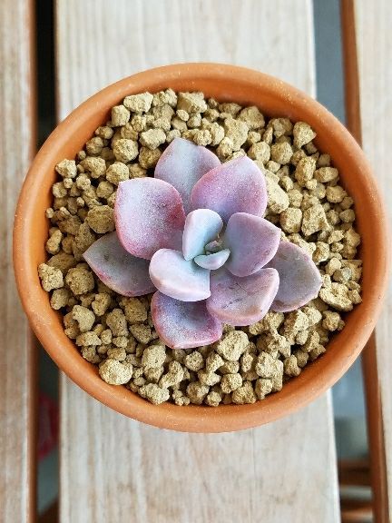 rblog-20180430124221-02.jpg