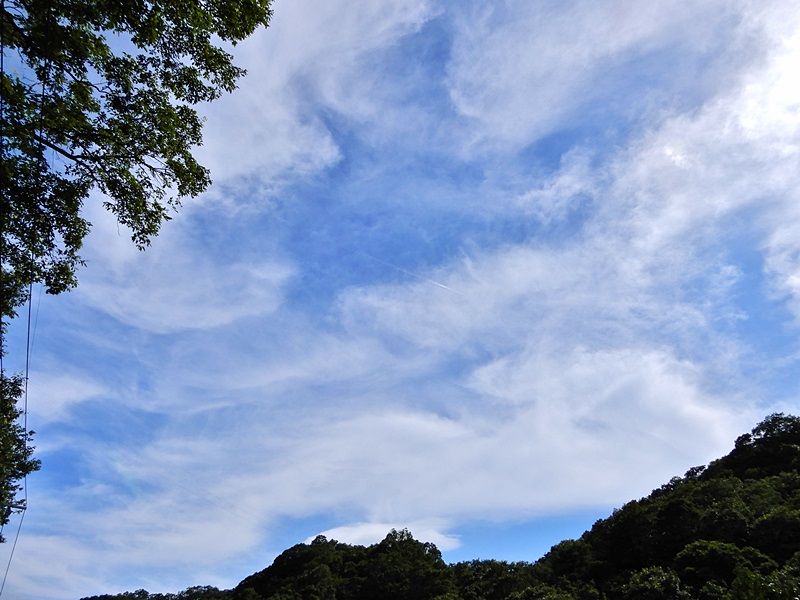 空4