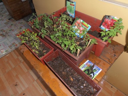 sP1010005.JPG
