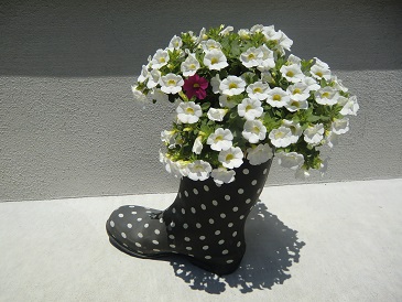長靴の花2
