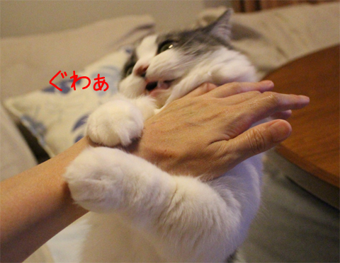 mumu13.jpg