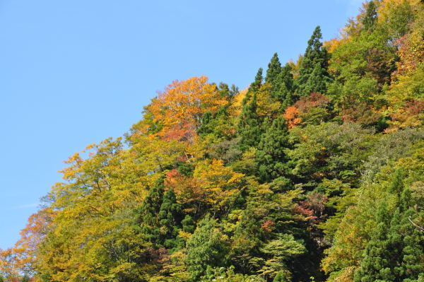 称名滝　紅葉