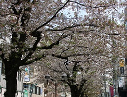 IMG_8332-9.jpg