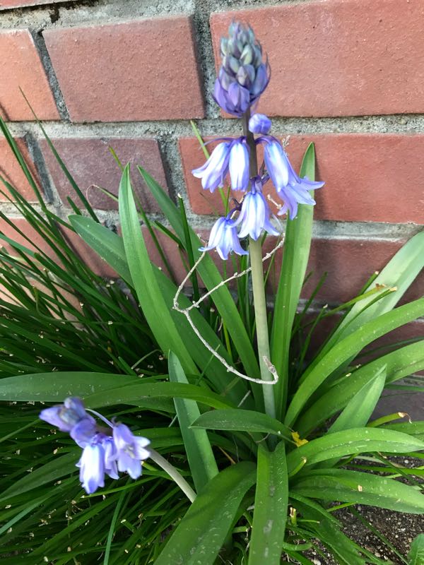 rblog-20180408182420-02.jpg