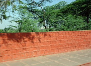 インド178.jpg