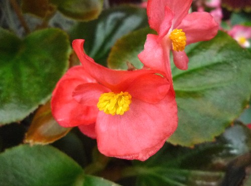 P1140331-1.JPG