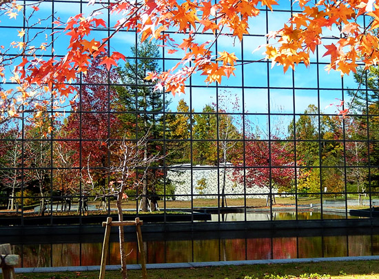 紅葉３