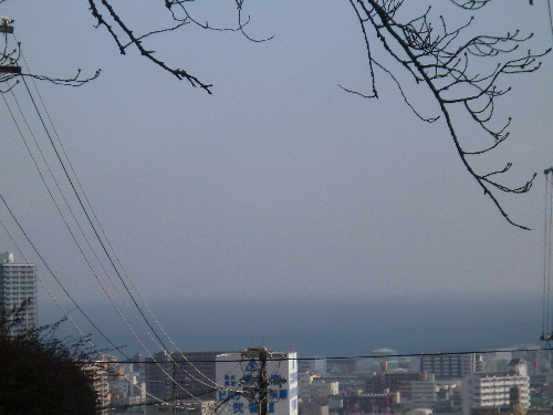 P1080762(1).JPG