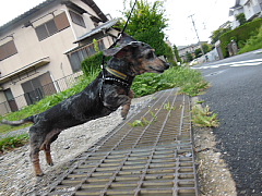 conv0011.JPG