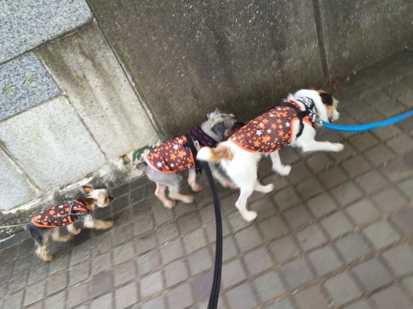rblog-20160729011956-06.jpg