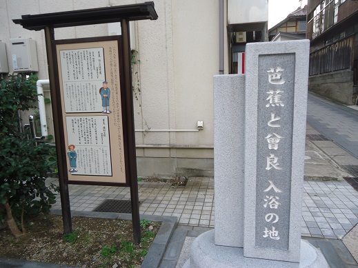 DSC03537.JPG