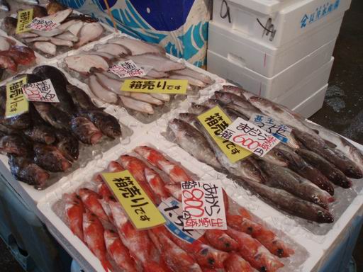 魚のアメ横2