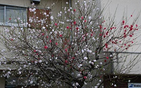 IMG_3636-2.jpg