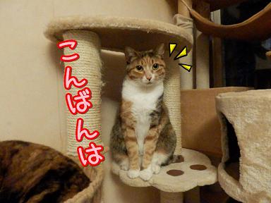 福こんばん１.JPG
