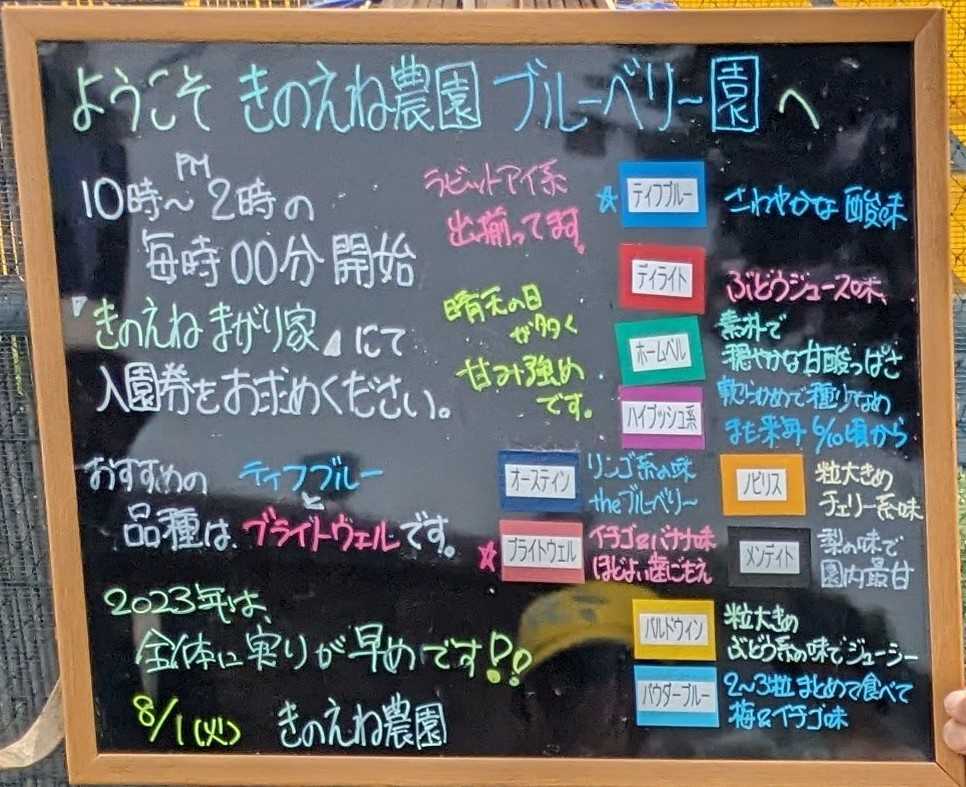 千葉県ブルーベリー狩り　きのえねまがり家