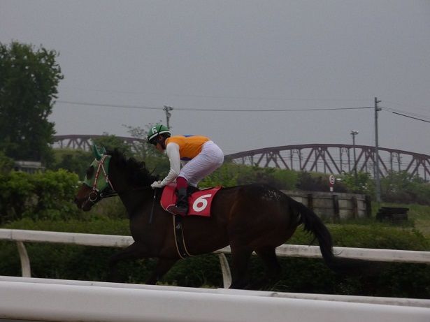 2017ヤングジョッキーズシリーズ トライアルラウンド笠松 | 地方競馬の