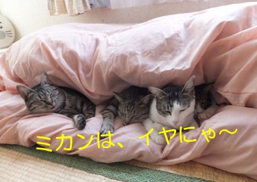 20121029_4.jpg