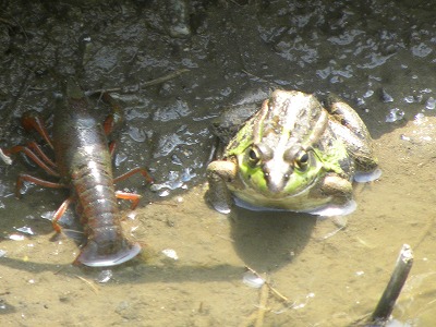 DSCN9156.jpg