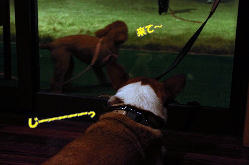 IMG010915.JPG
