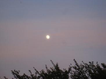 IMG_9450.JPG