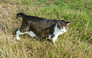 P1200531-ass.jpg