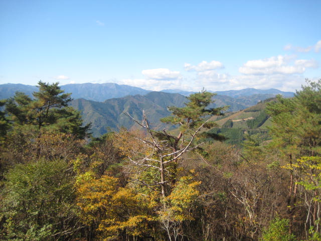 IMG_3787.JPG