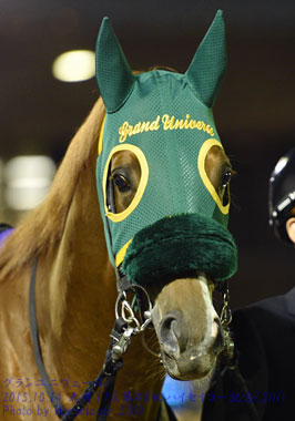 13GrandUnivers101415tck11R_01