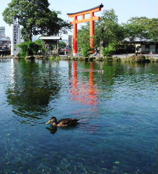 201208静岡0018.JPG
