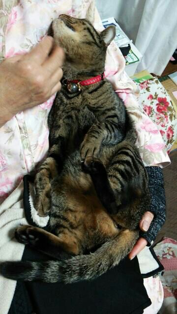 rblog-20140328232918-00.jpg