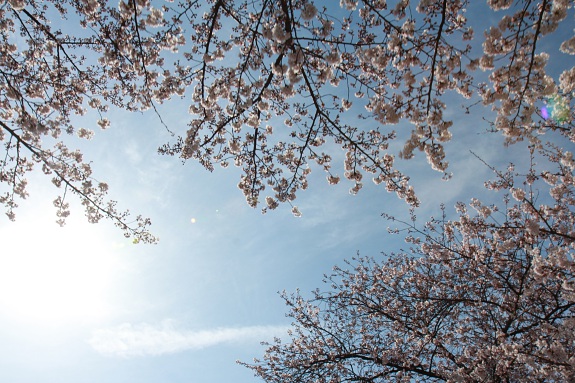 150329_40.jpg