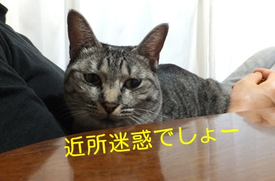 20121014_2.jpg