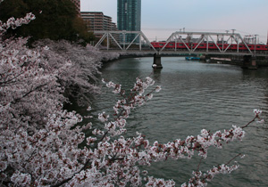IMG_4408_1.jpg