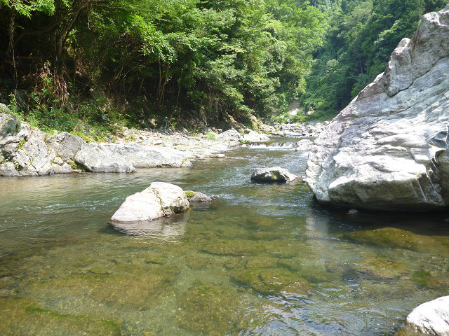 resize0015.jpg