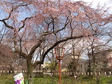 DSC_2730.jpg