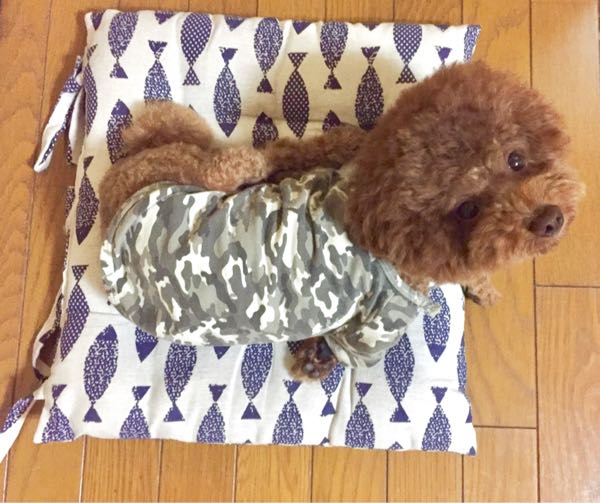 rblog-20180826201340-04.jpg