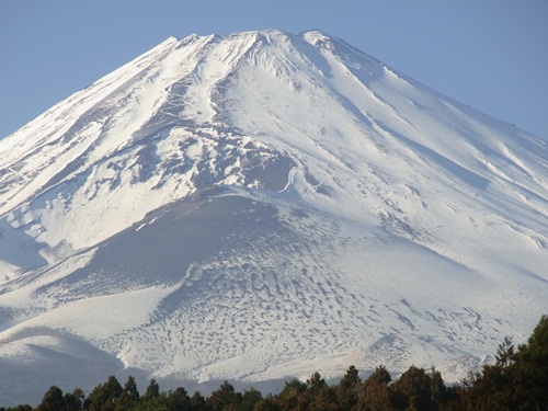R0022295_R.JPG