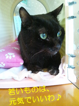 20120910_2.jpg