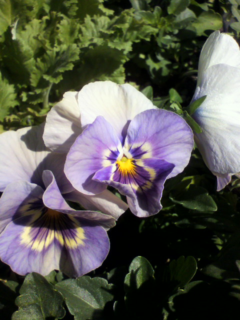 2013010212420001.jpg