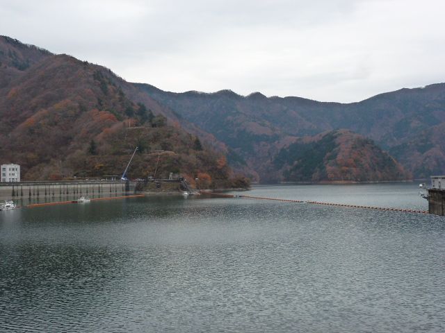 東京都西多摩郡にある奥多摩湖へ 寒桜 カンザクラ 写真あり 私の好きな花 楽天ブログ