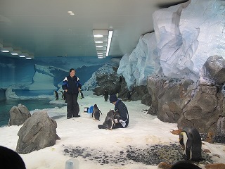 IMG_5369.jpg