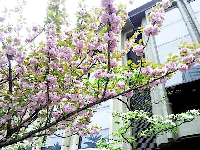 120426_131259.jpg